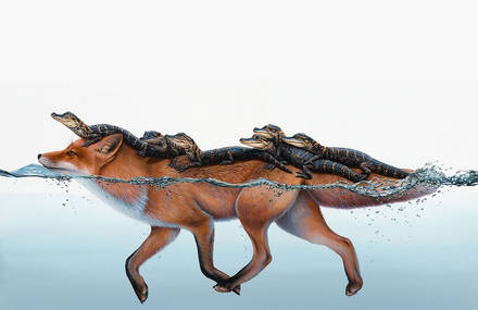 Surreal Animal Illustration by Jacub Gagnon