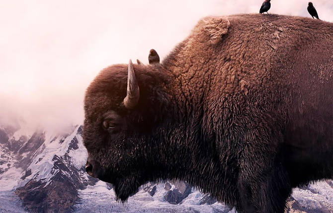 Mesmerizing Photo Manipulations by Ted Chin