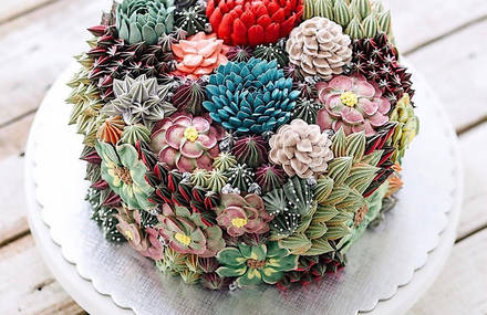 Delicious Flower and Terrarium Cakes