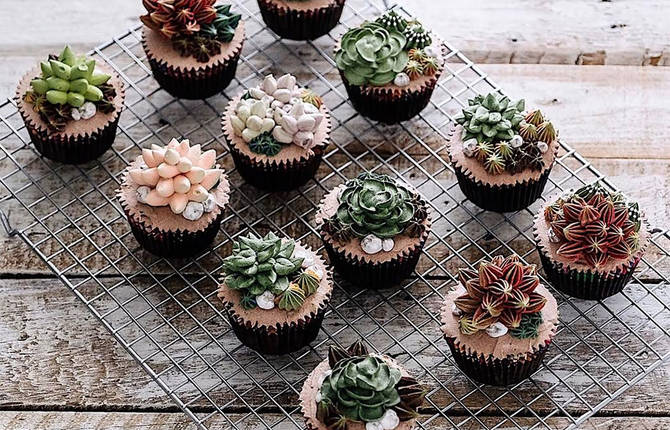 Delicious Flower and Terrarium Cakes