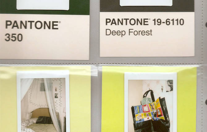 Perfect Mashups Between Instant Photographs & Pantone Cards