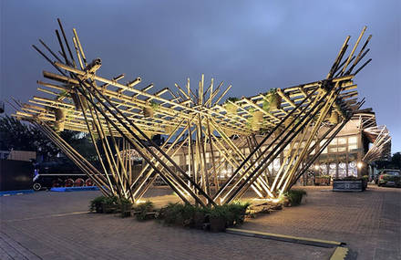 Splendid Bamboo Treehouse in Beijing