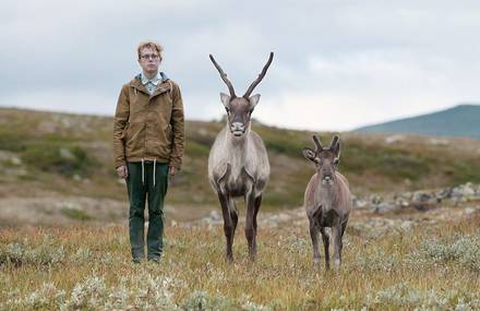 Incredible Series Between Men and Nature