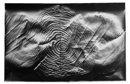 Stunning Monochromatic Photograms by Klea McKenna
