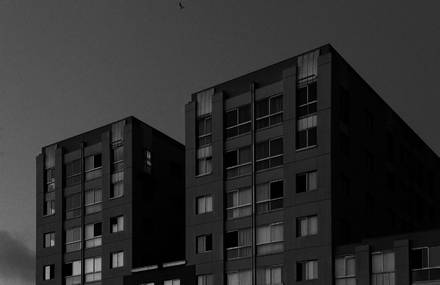 Los Angeles Myth in a Charming and Immersive Series