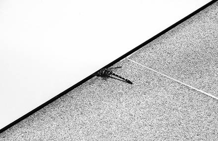 Mix of Zen and Modernity in Tokyo