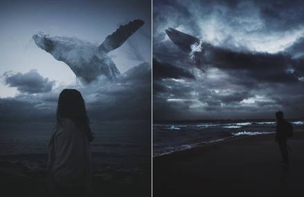 Surreal Collages Between Earth & Sea