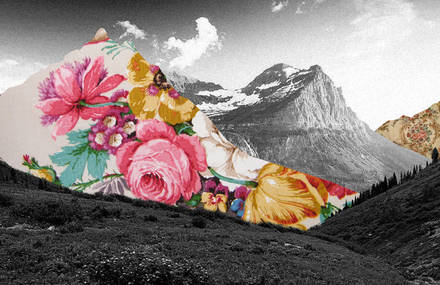 Enchanting Black & White Pictures with Colorful Collages