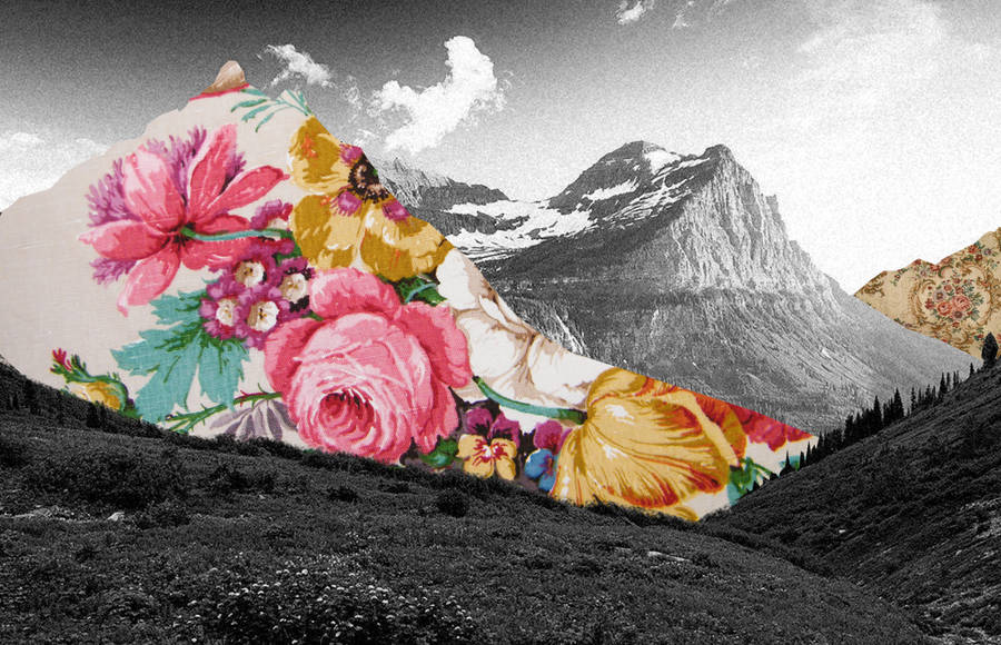 Enchanting Black & White Pictures with Colorful Collages