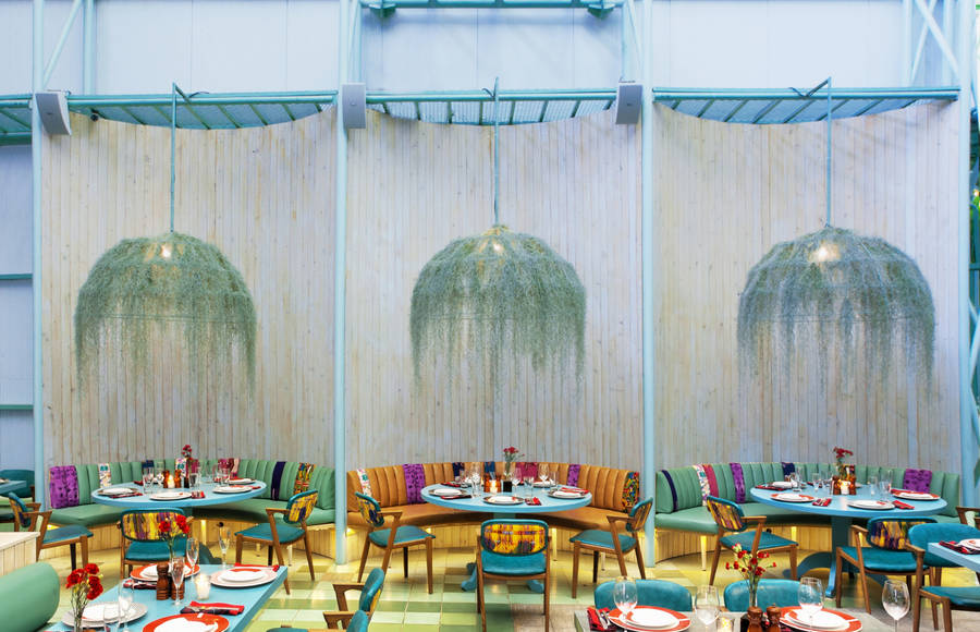 Tropical & Colorful Madero Café by Taller KEN