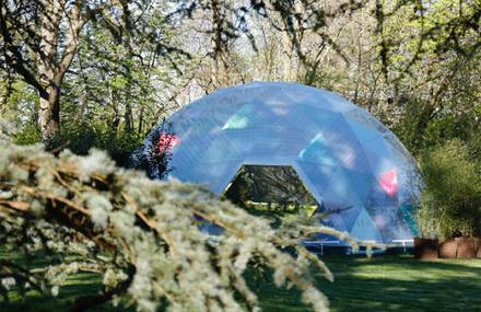 Mesmerizing Vegetal Mapping under a Dome by Miguel Chevalier