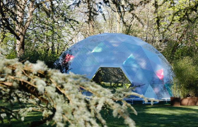 Mesmerizing Vegetal Mapping under a Dome by Miguel Chevalier