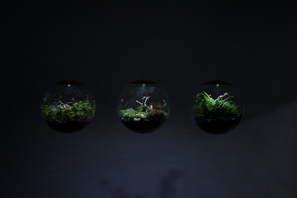 terrarium2