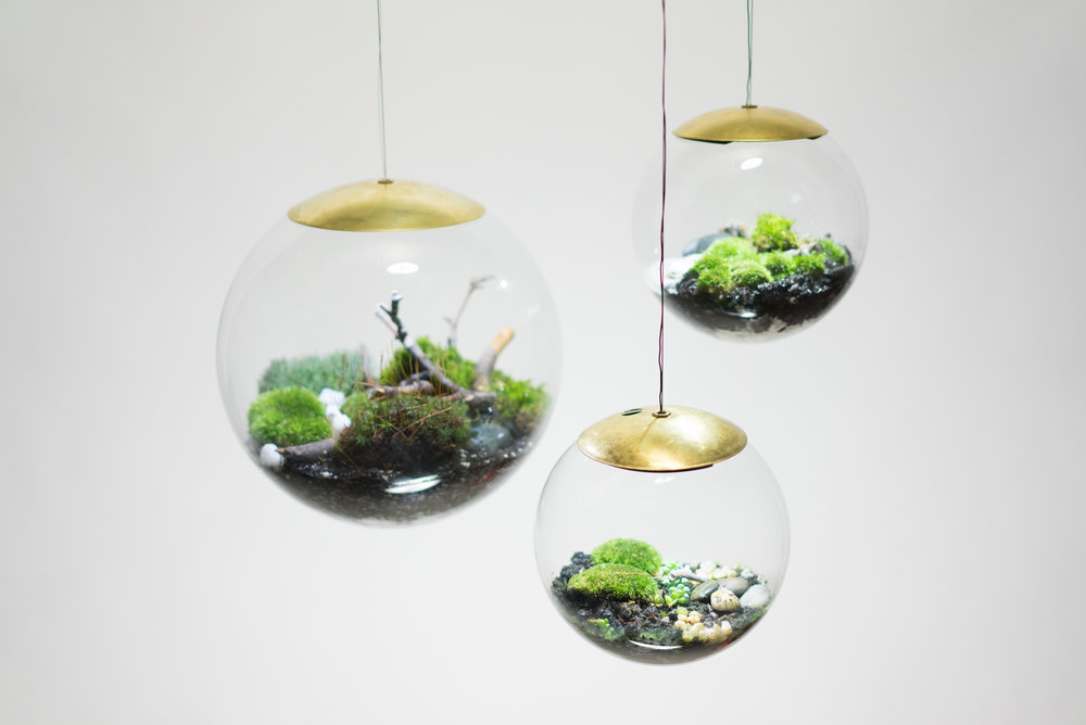 terrarium8