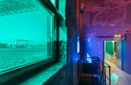Immersive Exhibition Celebrating Global Diversity