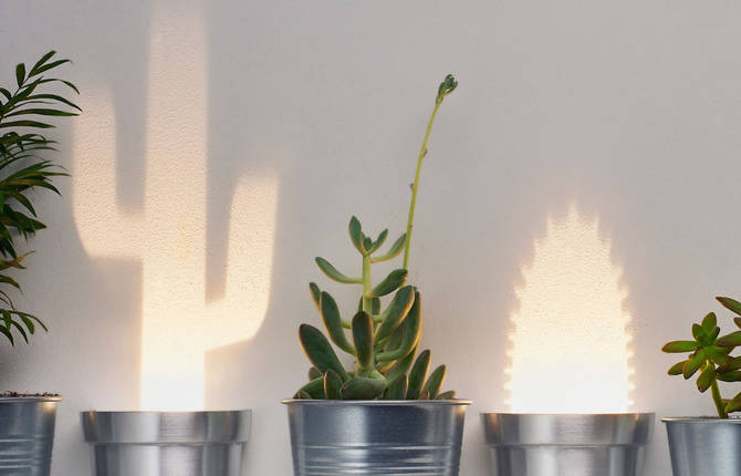 Cute Cactus Lamps by Chen Bikovski