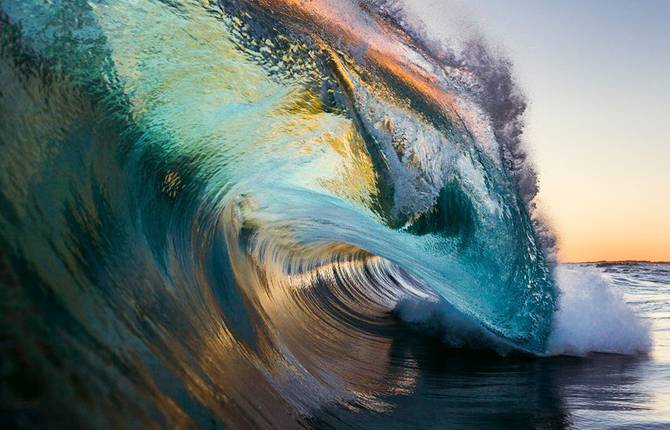 Mark Clinton Picturesque Wild Nature Photographs