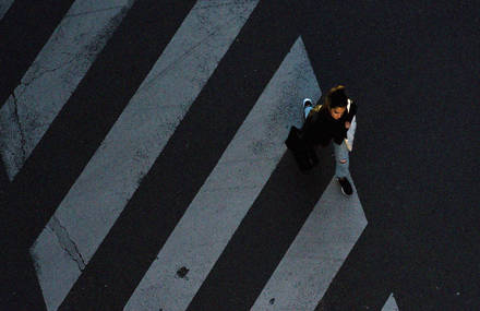 Daily Shots by William Hildebrand