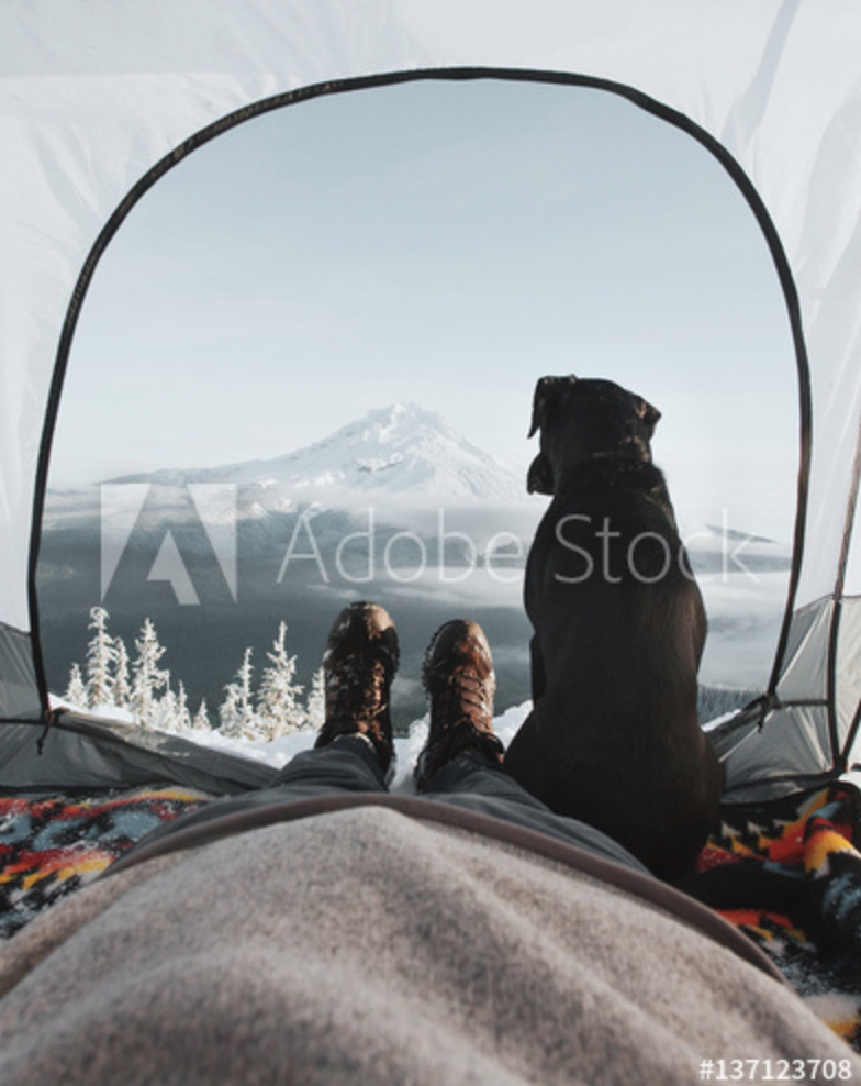 adobephotos7