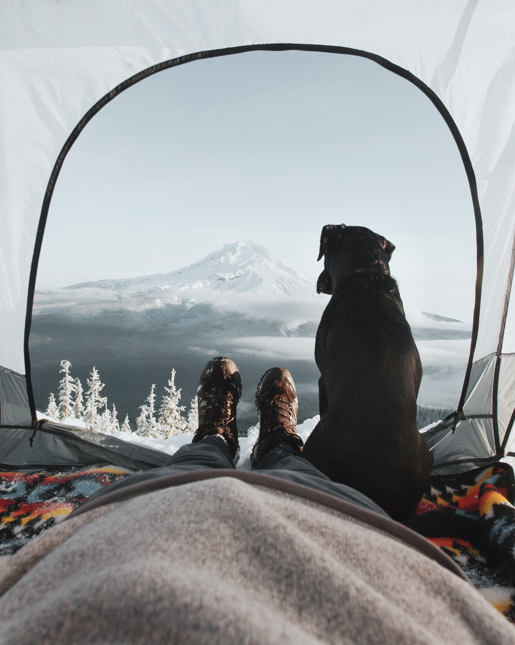 Personal perspective of dog and mountains from tent