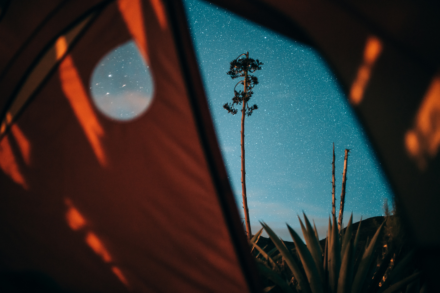 Starry sky view from tent