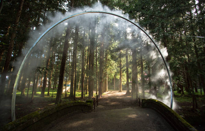 Mystical Arc in the Forest by James Tapscott