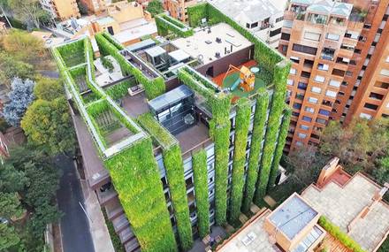 Mind-Blowing Vertical Garden in Bogota