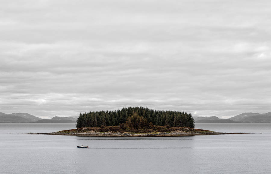 Dazzling Symmetry Realized by Gustav Willeit