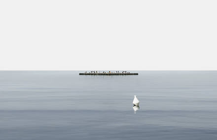 Dazzling Symmetry Realized by Gustav Willeit