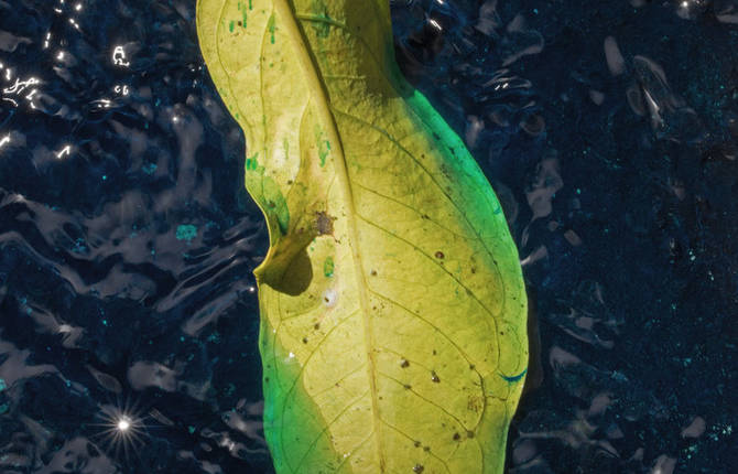 The Surprising Universe of Martin Bruno