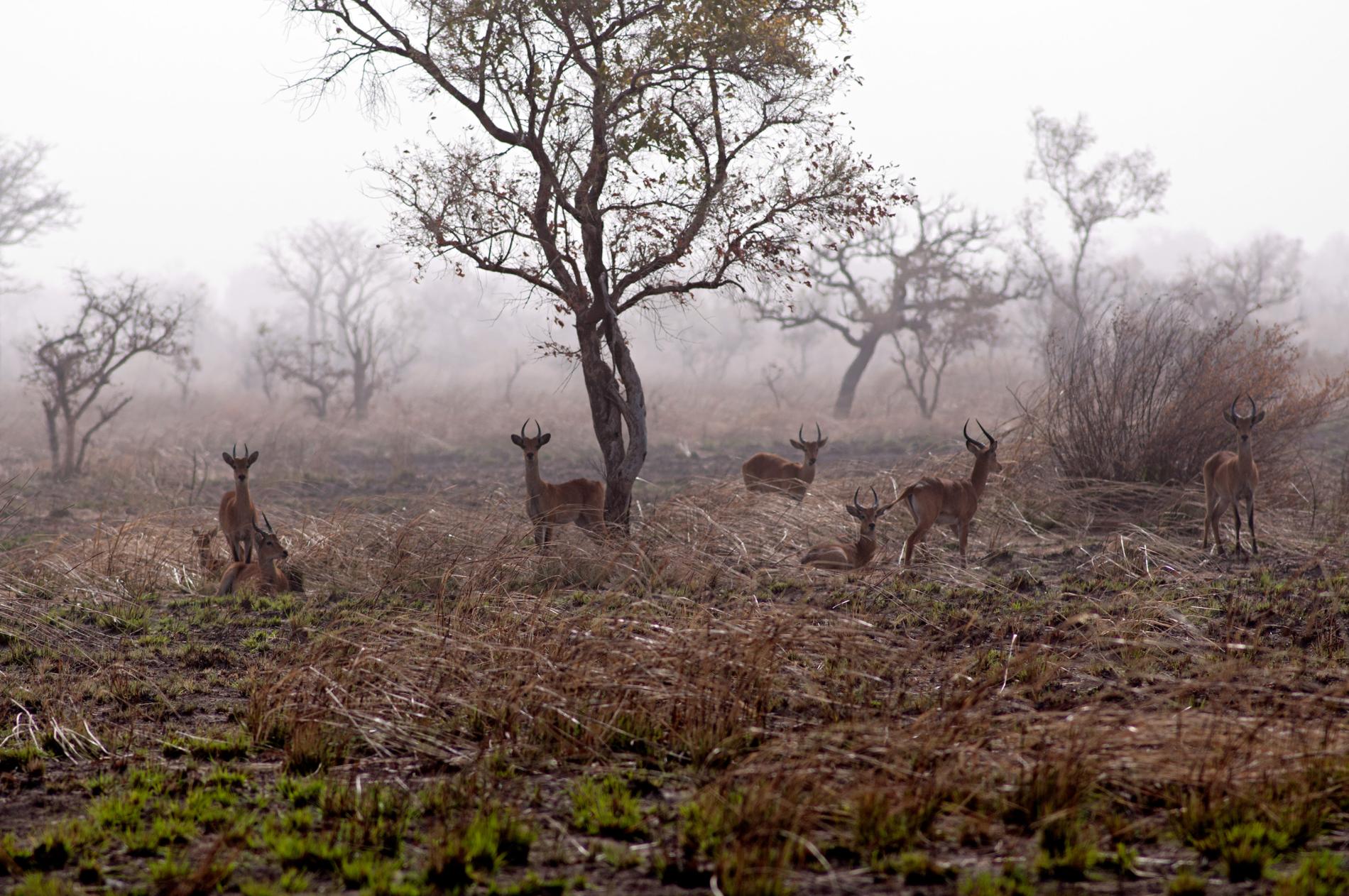 nationalgeographic6