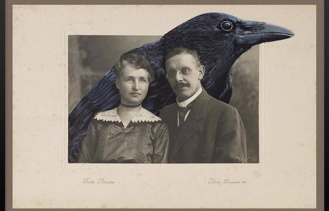 Oversized Oil Paintings of Animals in Vintage Photographs