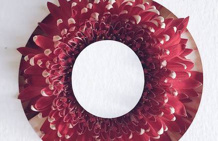 Stunning Flower Typography Project by Julia Losfelt