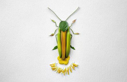 Fascinating Insects Flower Sculptures by Raku Inoue