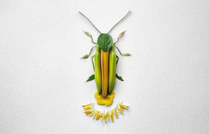Fascinating Insects Flower Sculptures by Raku Inoue