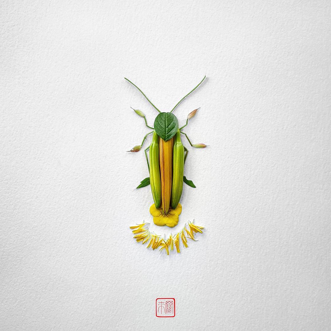 Natura