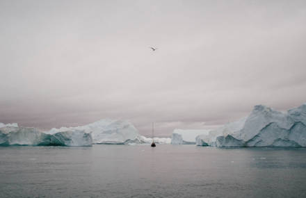 Breathtaking Photographs of Summer in Greenland