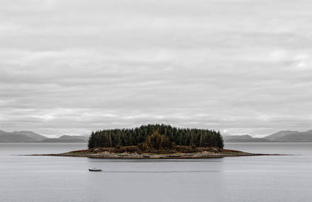 Troubling Symmetry by Gustav Willeit