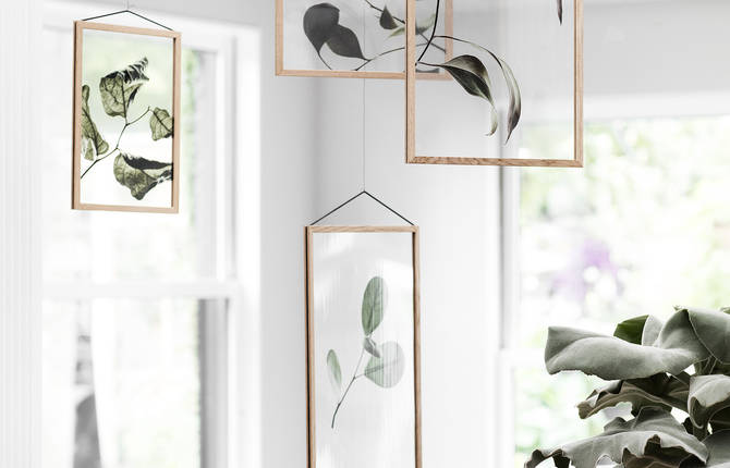Floating Transparent Leaf Prints