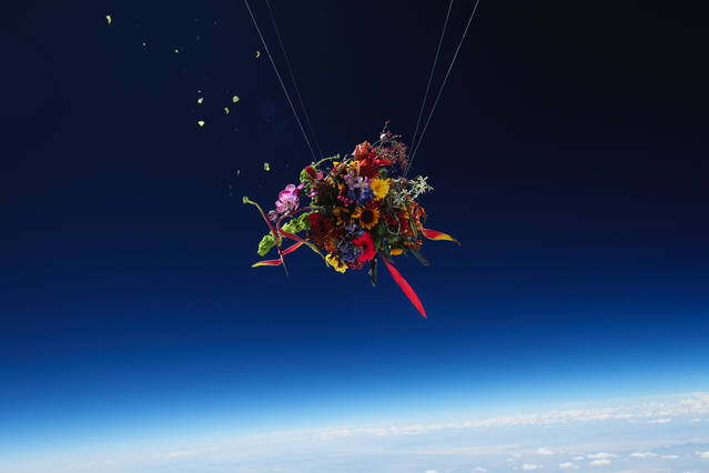 Incredible Flowers in Space Experiment – Fubiz Media