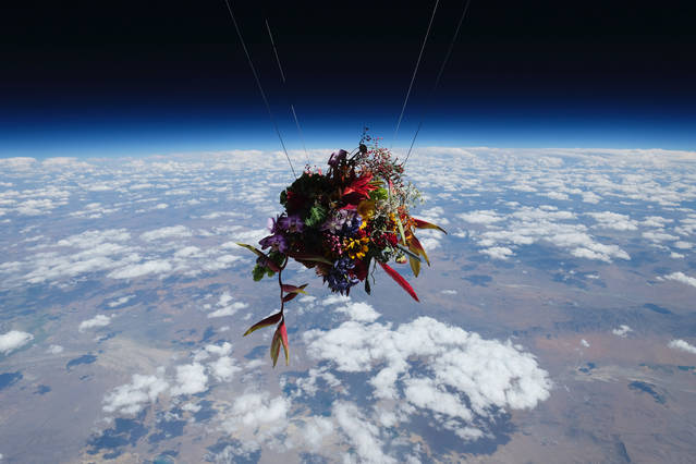 Incredible Flowers in Space Experiment – Fubiz Media