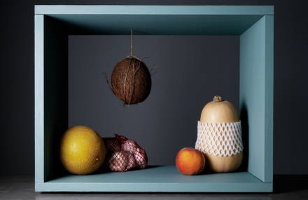 Delicious Food Still Life