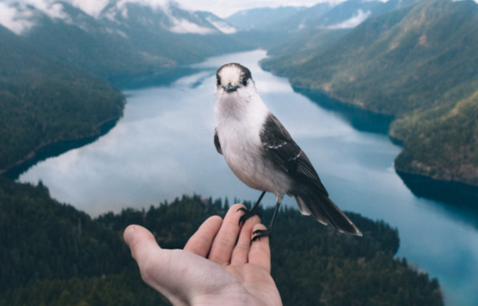 An Adventure Portfolio by Elliot Hawkey