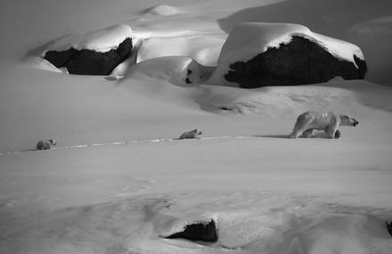 Poetic Black & White Pictures of the Far North by Laurent Baheux