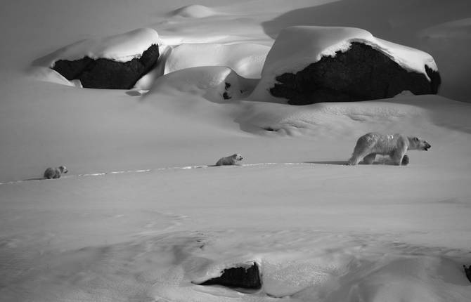 Poetic Black & White Pictures of the Far North by Laurent Baheux