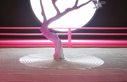 Night Zen Garden by Daniel Arsham