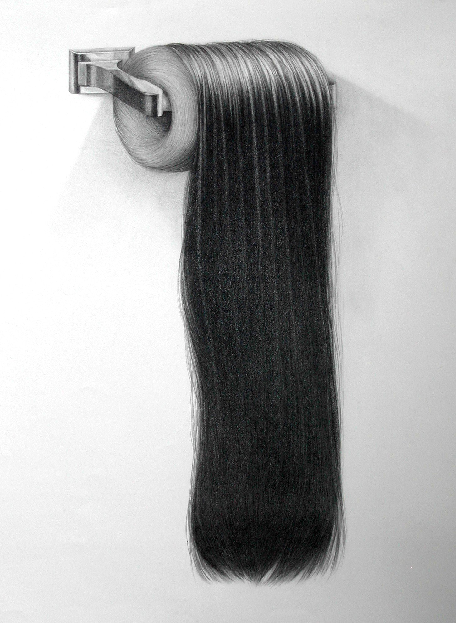 hairillustration1