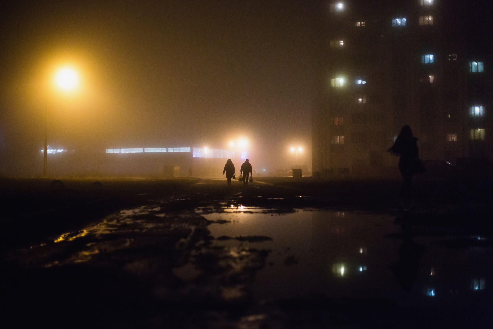City at night in dense fog. Thick smog on a dark street. Beautiful mixed light from the street lamps. Silhouettes of people and trees. Pillars at road