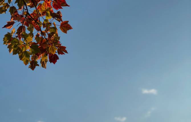Beautiful Autumn Captured