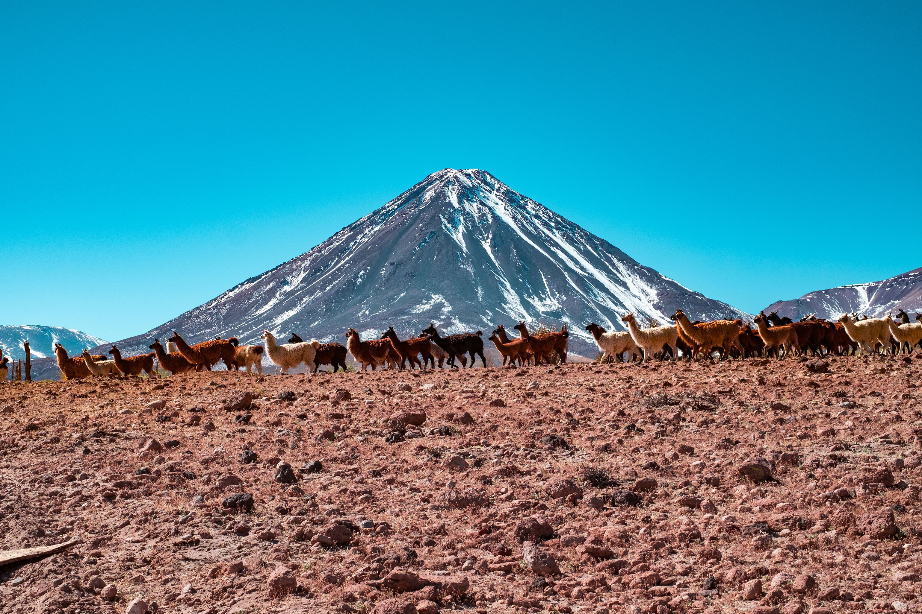 Atacama-Desert 24